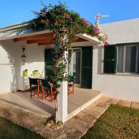 Rissaga - Golondrinas * קאלאן בוש