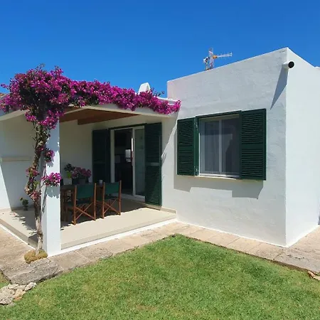 Golondrinas - Rissaga