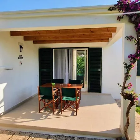 Golondrinas - Rissaga * カラン・ボッシュ