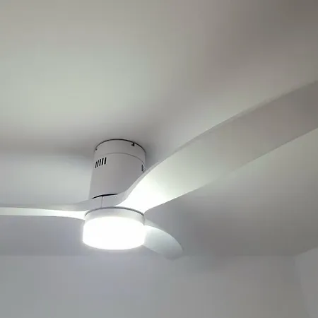 Golondrinas - Rissaga * カラン・ボッシュ