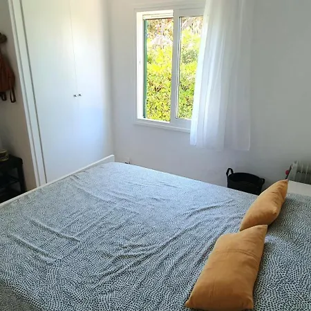 Golondrinas - Rissaga カラン・ボッシュ