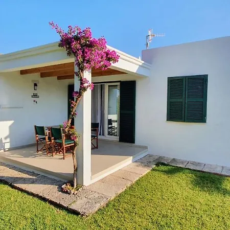 Golondrinas - Rissaga